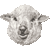 多色羊の頭　色数5色のアイコン