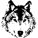 狼の顔　色数2色＜モノクロタイリクオオカミ／条件付フリー画像