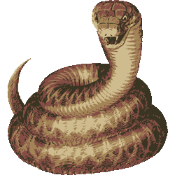 赤蛇　色数4色＜228 赤蛇青蛇のイラスト／条件付フリー素材