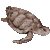 赤海亀（アカウミガメ）　色数4色のアイコン