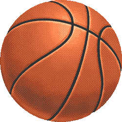 多色バスケットボール　色数5色＜089 リアルバスケボールのイラスト／条件付フリー素材