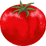 完熟トマト　色数5色＜りあるトマト／非商用無料イラスト