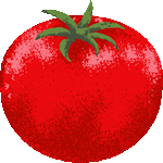 赤トマト　色数5色＜りあるトマト／条件付フリー画像