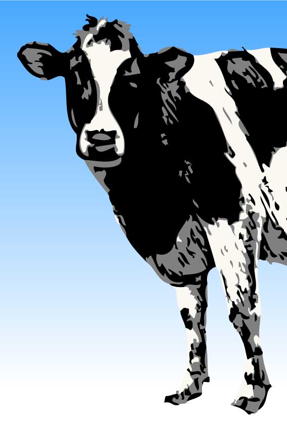 牛・丑年（うしどし）＞リアル乳牛の葉書サイズイラスト・フリー