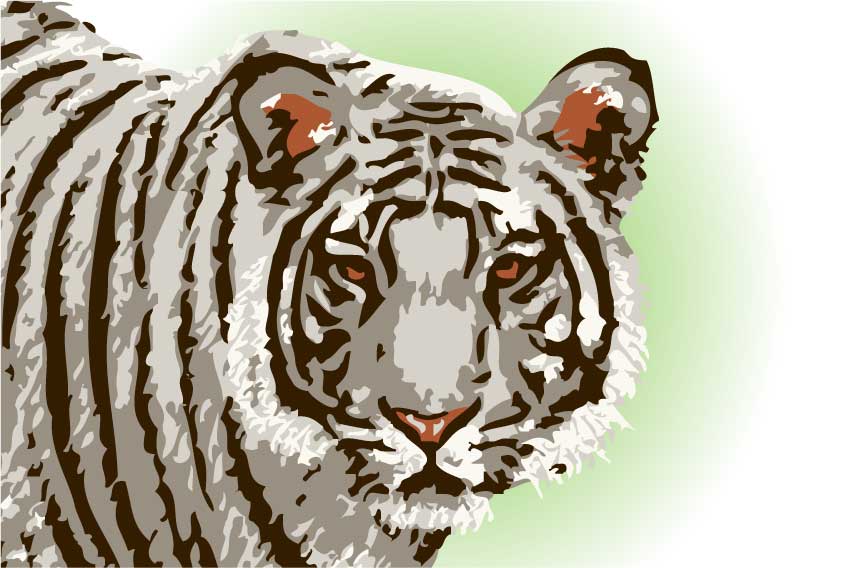 ホワイトタイガー 白虎の年賀状用イラスト フリー素材集