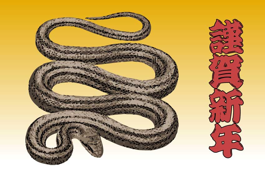シマヘビ リアル縞蛇の年賀状用イラスト フリー素材集