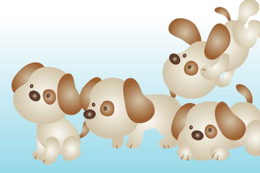 アイパッチ子犬 一般的な仔犬の年賀状用イラスト フリー素材集