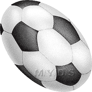 サッカーのボールのイラスト／無料素材集（条件付）
