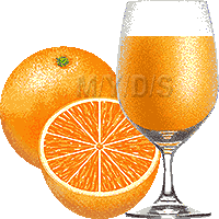 オレンジジュース／無料素材集
