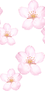 桜の壁紙／非営利無料イラスト