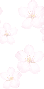 桜の壁紙／無料イラスト