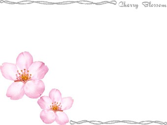 （サクラの花）桜の花の年賀状／非商用無料イラスト