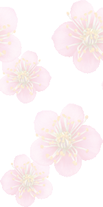 梅の花の壁紙／条件付きフリー画像