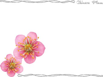梅の花（ウメの花）の年賀状／非商用無料イラスト