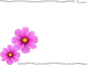 コスモスの花、秋桜（アキザクラ）の年賀状／非商用無料イラスト