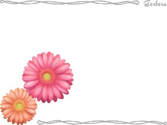 ガーベラの花、アフリカ センボンヤリの年賀状／非商用無料イラスト