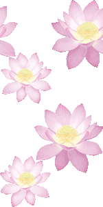 ハスの花 蓮の花のイラスト 条件付フリー素材集