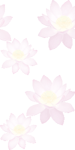ハスの花の壁紙／条件付きフリー画像