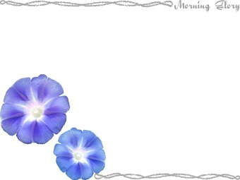 （朝顔の花）アサガオの花の年賀状／非商用無料イラスト