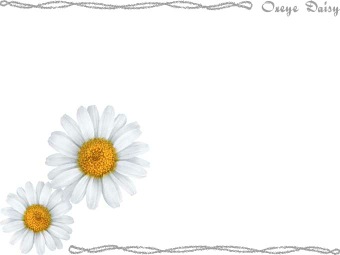 マーガレットの花、モクシュンギク（木春菊）の年賀状／非商用無料イラスト