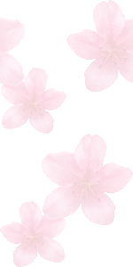 ツツジの花の壁紙／条件付きフリー画像