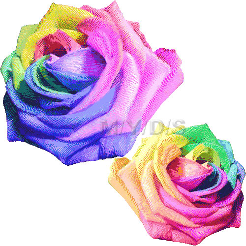 薔薇の花 レインボーローズ のイラスト 条件付フリー素材集