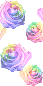 スマホ用ページ 薔薇の花 レインボーローズ の壁紙 条件付フリー素材集