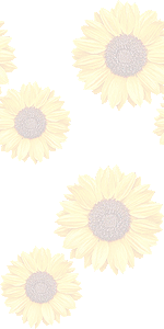 ヒマワリの花の壁紙／条件付きフリー画像