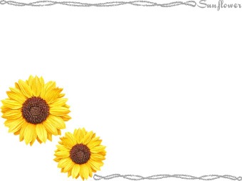 （向日葵の花）ヒマワリの花の年賀状／非商用無料イラスト