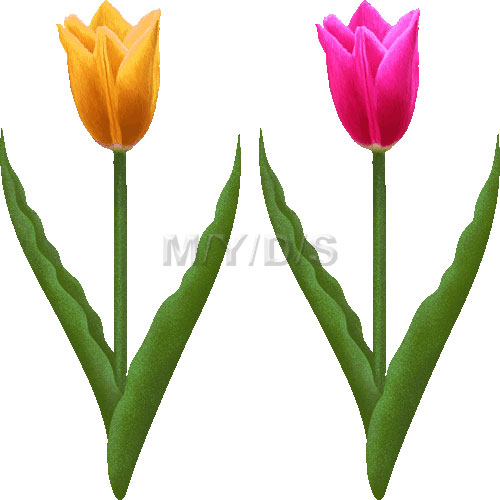 チューリップの花（ピンク＆イエロー）のイラスト／条件付フリー素材集