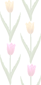 チューリップの花の壁紙／無料イラスト