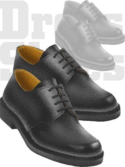 年賀状・男物の革靴／条件付フリー素材