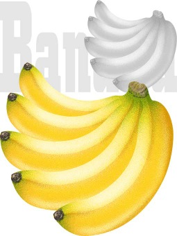 甘蕉 バナナ のイラスト 条件付フリー素材集