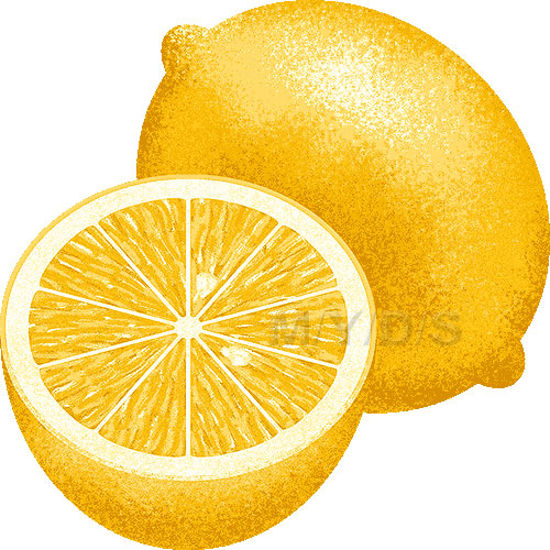 檸檬のイラスト／条件付フリー素材集