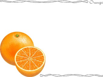 バレンシア オレンジのイラスト 条件付フリー素材集