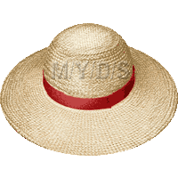 麦藁帽子のイラスト／フリー素材（条件付）