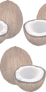 ココナッツ 椰子の実のイラスト 条件付フリー素材集