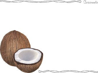 ココナッツ・椰子の実の年賀状／非商用無料イラスト
