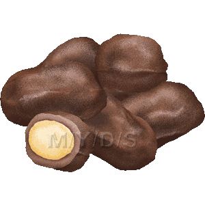 マカデミアチョコレートのイラスト／無料素材集（条件付）