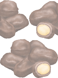 マカダミアナッツチョコレートの壁紙／非営利無料イラスト