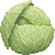 Cabbage thumbnail
