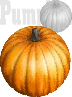 かぼちゃのポストカード／条件付無料素材