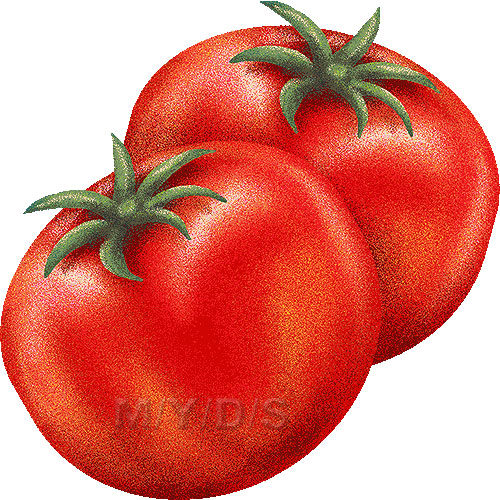 トマトのイラスト 条件付フリー素材集