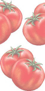 トマトの壁紙／フリー画像