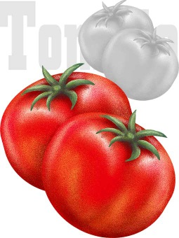 年賀状・トマト／条件付フリー素材