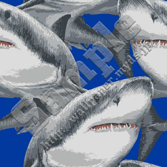 サメ＜149 リアルホオジロザメ＞の背景画像・壁紙