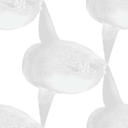 482 りあるマンボウ＞翻車魚（まんぼう）のテキスタイル図案／非商用無料イラスト