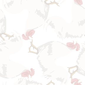 シンプルタッチ鶏の背景図案