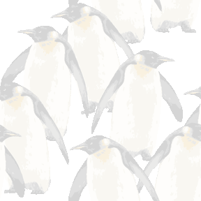 158 皇帝ペンギンの群れ＞ぺんぎんのテキスタイル図案／非商用無料イラスト