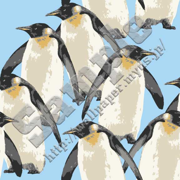 ペンギン＜158 皇帝ペンギンの群れ＞の背景画像・壁紙